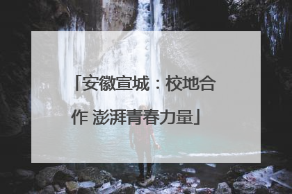 安徽宣城：校地合作 澎湃青春力量