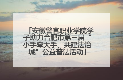 安徽警官职业学院学子助力合肥市第三届“小手牵大手、共建法治城”公益普法活动