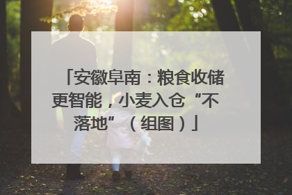 安徽阜南：粮食收储更智能，小麦入仓“不落地”（组图）