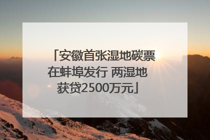 安徽首张湿地碳票在蚌埠发行 两湿地获贷2500万元