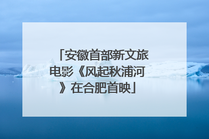 安徽首部新文旅电影《风起秋浦河》在合肥首映