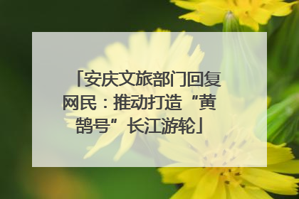 安庆文旅部门回复网民：推动打造“黄鹄号”长江游轮