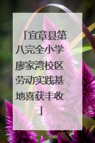 宜章县第八完全小学廖家湾校区劳动实践基地喜获丰收