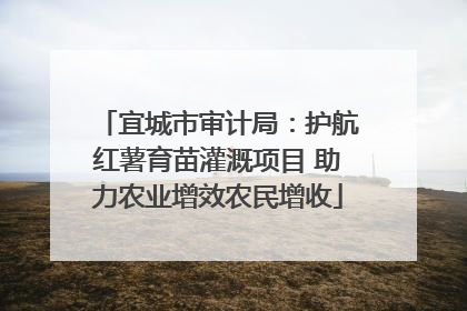 宜城市审计局：护航红薯育苗灌溉项目 助力农业增效农民增收