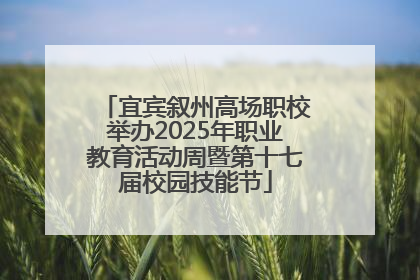宜宾叙州高场职校举办2025年职业教育活动周暨第十七届校园技能节