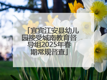 宜宾江安县幼儿园接受城南教育督导组2025年春期常规督查