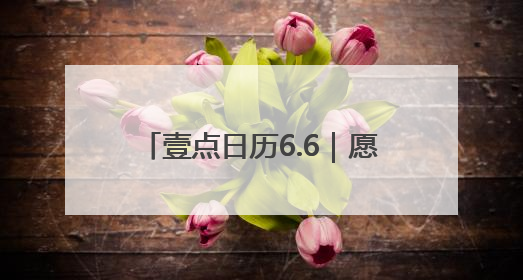 壹点日历6.6｜愿所有的美好，都在这个夏天如约而至！早安
