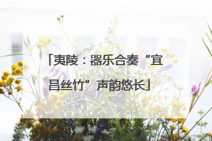 夷陵：器乐合奏“宜昌丝竹”声韵悠长