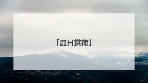 夏日赏荷