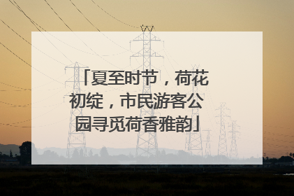 夏至时节，荷花初绽，市民游客公园寻觅荷香雅韵