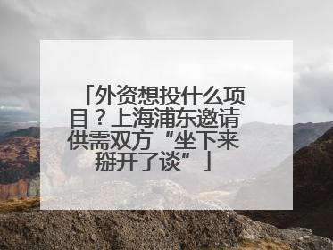 外资想投什么项目？上海浦东邀请供需双方“坐下来掰开了谈”