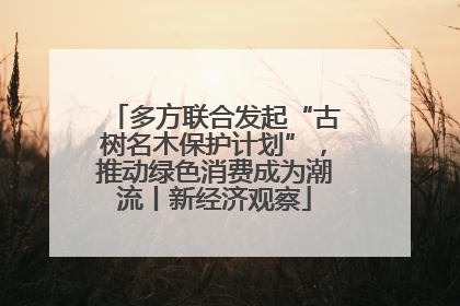 多方联合发起“古树名木保护计划”，推动绿色消费成为潮流丨新经济观察