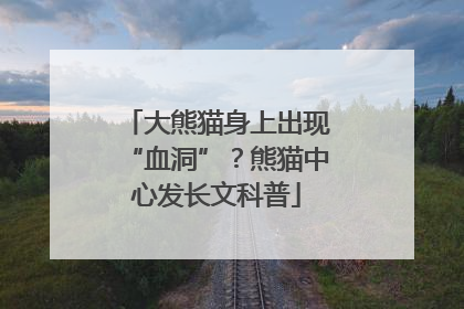 大熊猫身上出现“血洞”？熊猫中心发长文科普