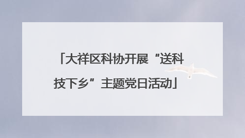 大祥区科协开展“送科技下乡”主题党日活动
