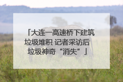 大连一高速桥下建筑垃圾堆积 记者采访后垃圾神奇“消失”
