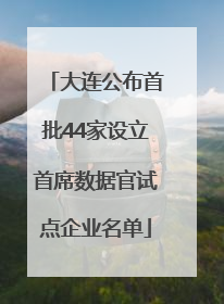 大连公布首批44家设立首席数据官试点企业名单