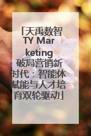 天禹数智 TY Marketing 破局营销新时代：智能体赋能与人才培育双轮驱动
