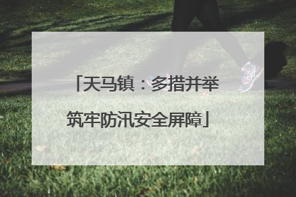 天马镇：多措并举筑牢防汛安全屏障
