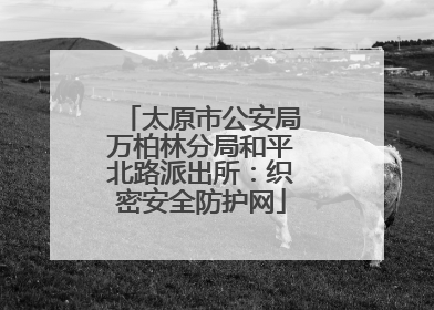 太原市公安局万柏林分局和平北路派出所：织密安全防护网