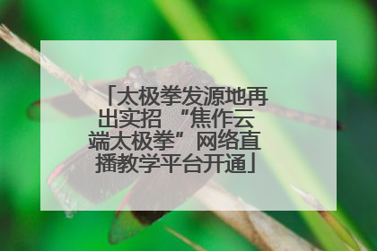 太极拳发源地再出实招 “焦作云端太极拳”网络直播教学平台开通