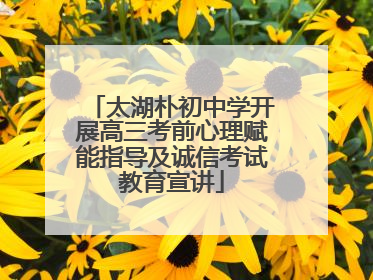 太湖朴初中学开展高三考前心理赋能指导及诚信考试教育宣讲