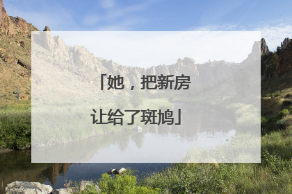 她，把新房让给了斑鸠