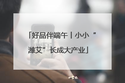好品伴端午丨小小“潍艾”长成大产业