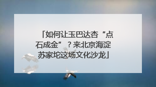 如何让玉巴达杏“点石成金”？来北京海淀苏家坨这场文化沙龙