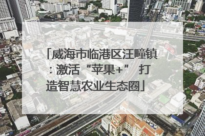 威海市临港区汪疃镇：激活“苹果+” 打造智慧农业生态圈