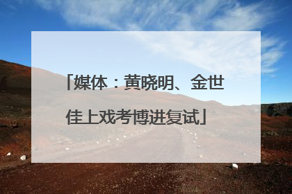 媒体：黄晓明、金世佳上戏考博进复试