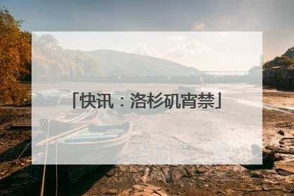 快讯：洛杉矶宵禁