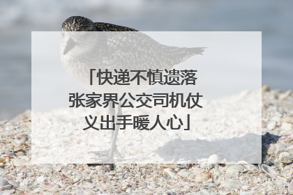 快递不慎遗落 张家界公交司机仗义出手暖人心