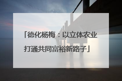 德化杨梅：以立体农业打通共同富裕新路子