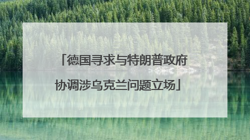 德国寻求与特朗普政府协调涉乌克兰问题立场