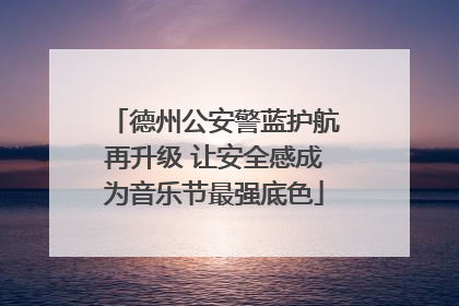 德州公安警蓝护航再升级 让安全感成为音乐节最强底色