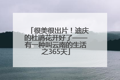 很美很出片！迪庆的杜鹃花开好了——有一种叫云南的生活之365天