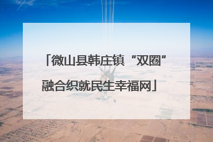 微山县韩庄镇“双圈”融合织就民生幸福网