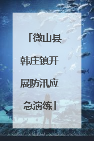 微山县韩庄镇开展防汛应急演练