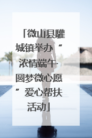 微山县驩城镇举办“浓情端午·圆梦微心愿”爱心帮扶活动