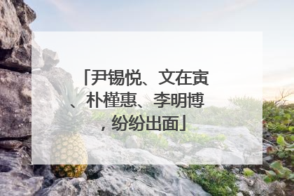 尹锡悦、文在寅、朴槿惠、李明博，纷纷出面