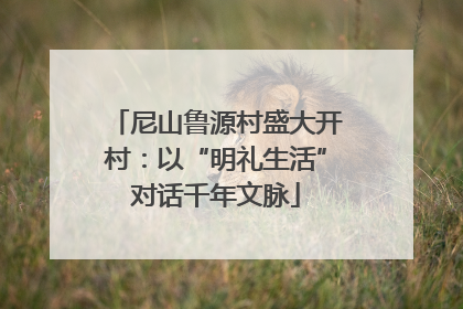 尼山鲁源村盛大开村：以“明礼生活”对话千年文脉