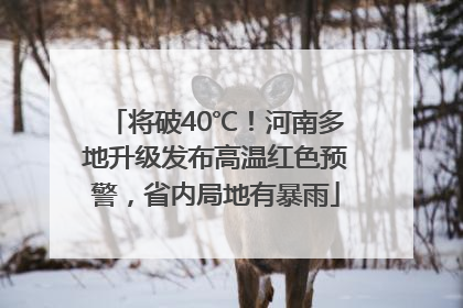 将破40℃！河南多地升级发布高温红色预警，省内局地有暴雨