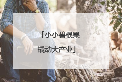 小小碧根果撬动大产业