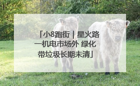 小8跑街｜星火路一机电市场外 绿化带垃圾长期未清