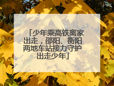 少年乘高铁离家出走，邵阳、衡阳两地车站接力守护出走少年