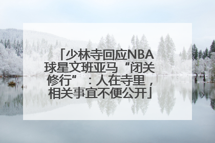 少林寺回应NBA球星文班亚马“闭关修行”：人在寺里，相关事宜不便公开