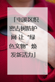 屯溪区织密古树防护网 让“绿色文物”焕发新活力