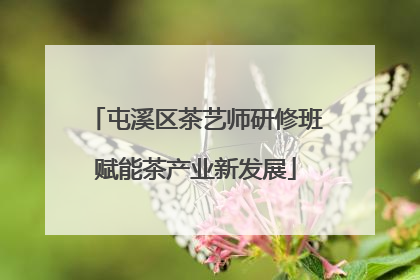 屯溪区茶艺师研修班赋能茶产业新发展
