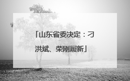 山东省委决定：刁洪斌、荣刚履新