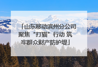 山东移动滨州分公司聚焦“打猫”行动 筑牢群众财产防护堤